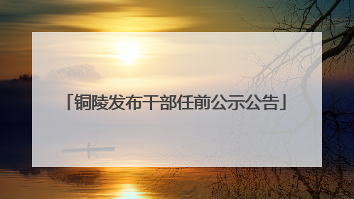 铜陵发布干部任前公示公告